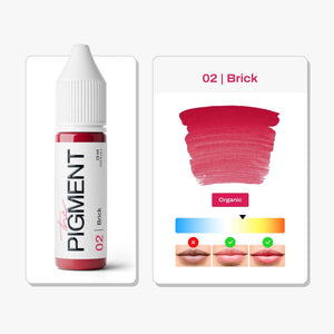 The Pigment - 02 Brick - 15ml – professional permanent makeup & beauty product