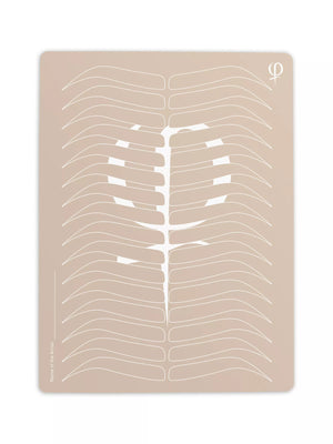 Practicing Latex Printed Shape and Outlines 3pcs – professional permanent makeup & beauty product