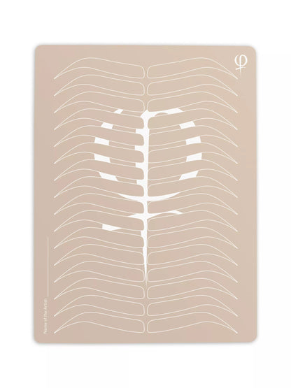 Practicing Latex Printed Shape and Outlines 3pcs – professional permanent makeup & beauty product