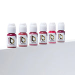 Evenflo True Lips Set – professional permanent makeup & beauty product