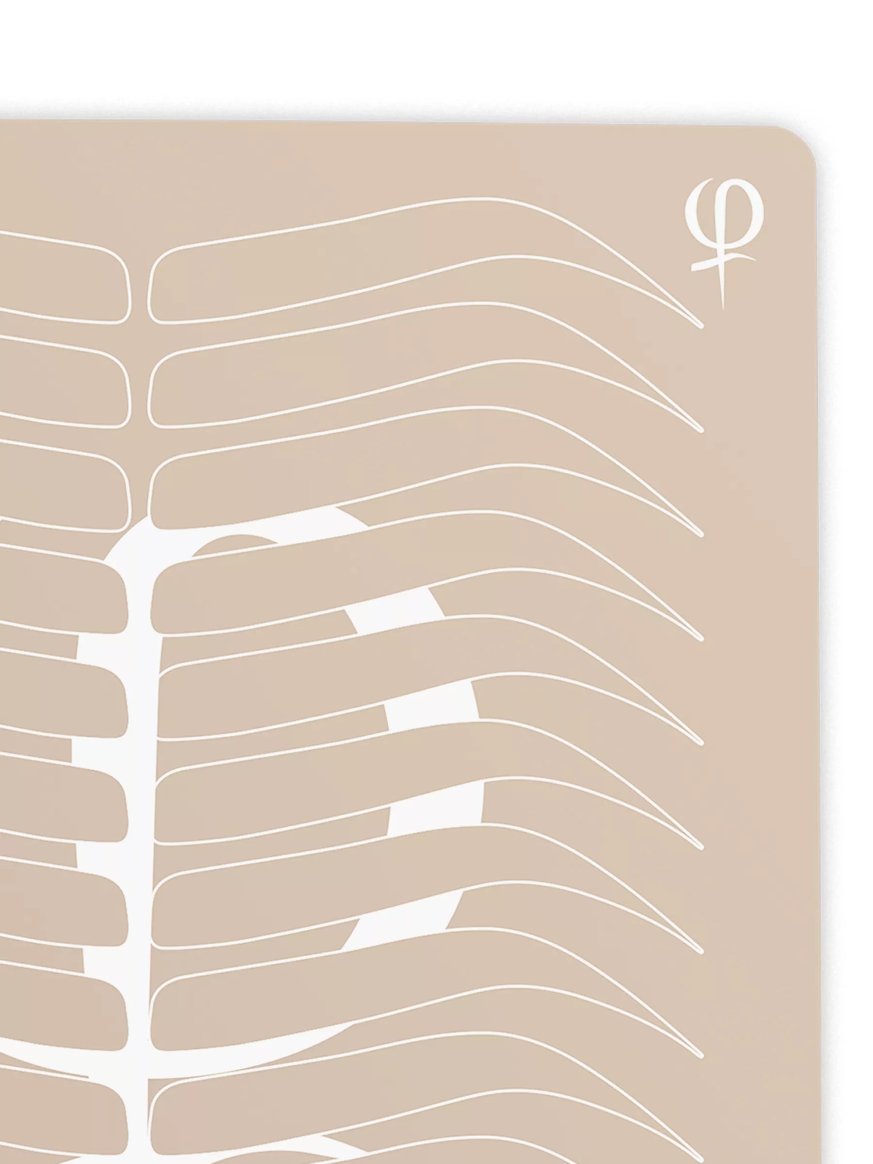 Practicing Latex Printed Shape and Outlines 3pcs – professional permanent makeup & beauty product