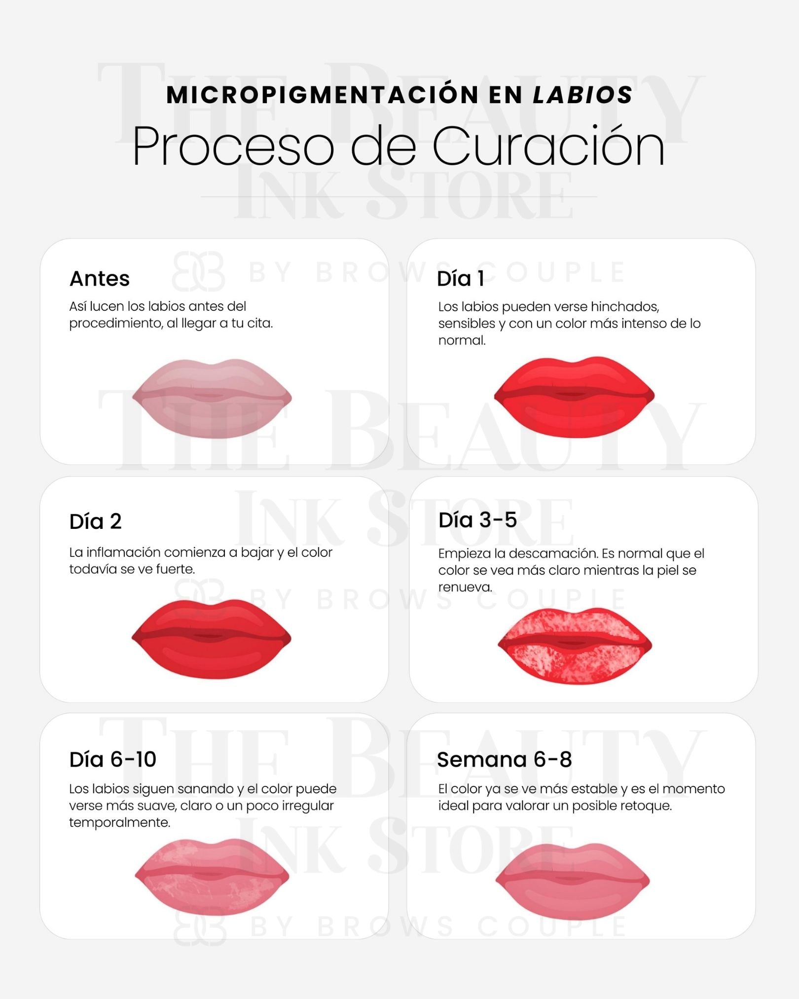 Lip Micropigmentation Aftercare Cards Spanish (Digital Download) – professional permanent makeup & beauty product