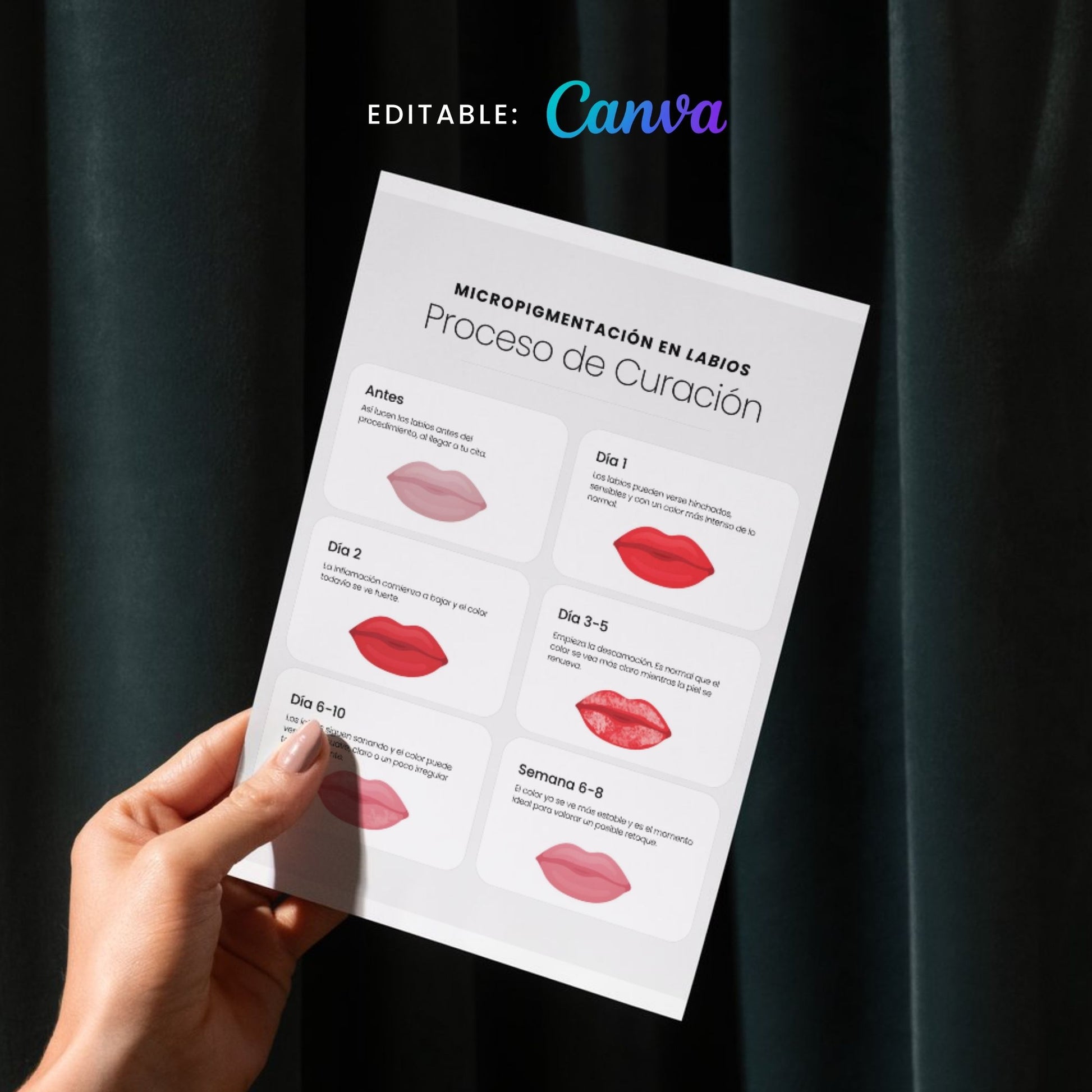Editable Healing Process & Aftercare Cards (Canva | Digital) – professional permanent makeup & beauty product