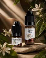 EtalonMix - №10 Arabica – professional permanent makeup & beauty product