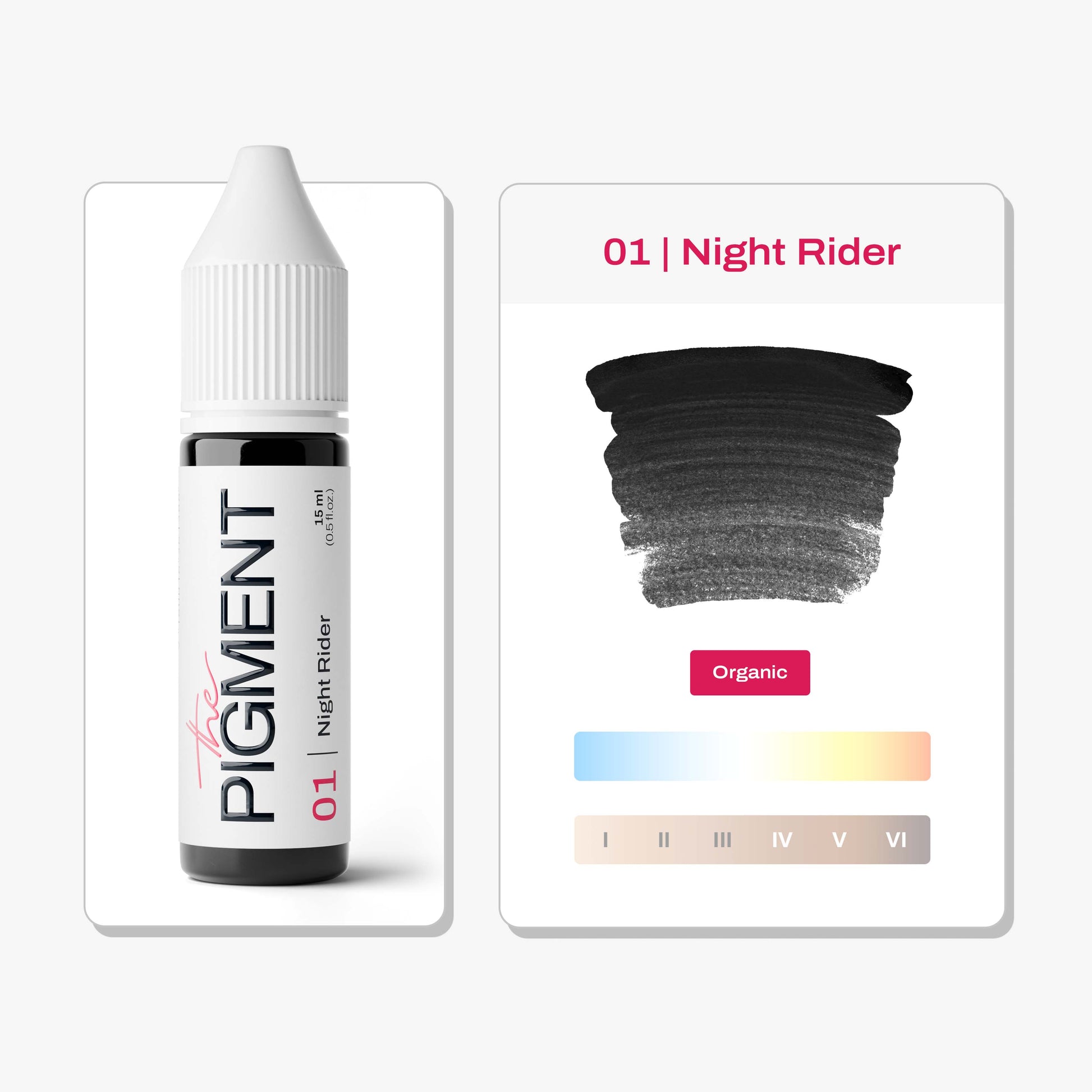 The Pigment - 01 Night Rider - 15ml – professional permanent makeup & beauty product