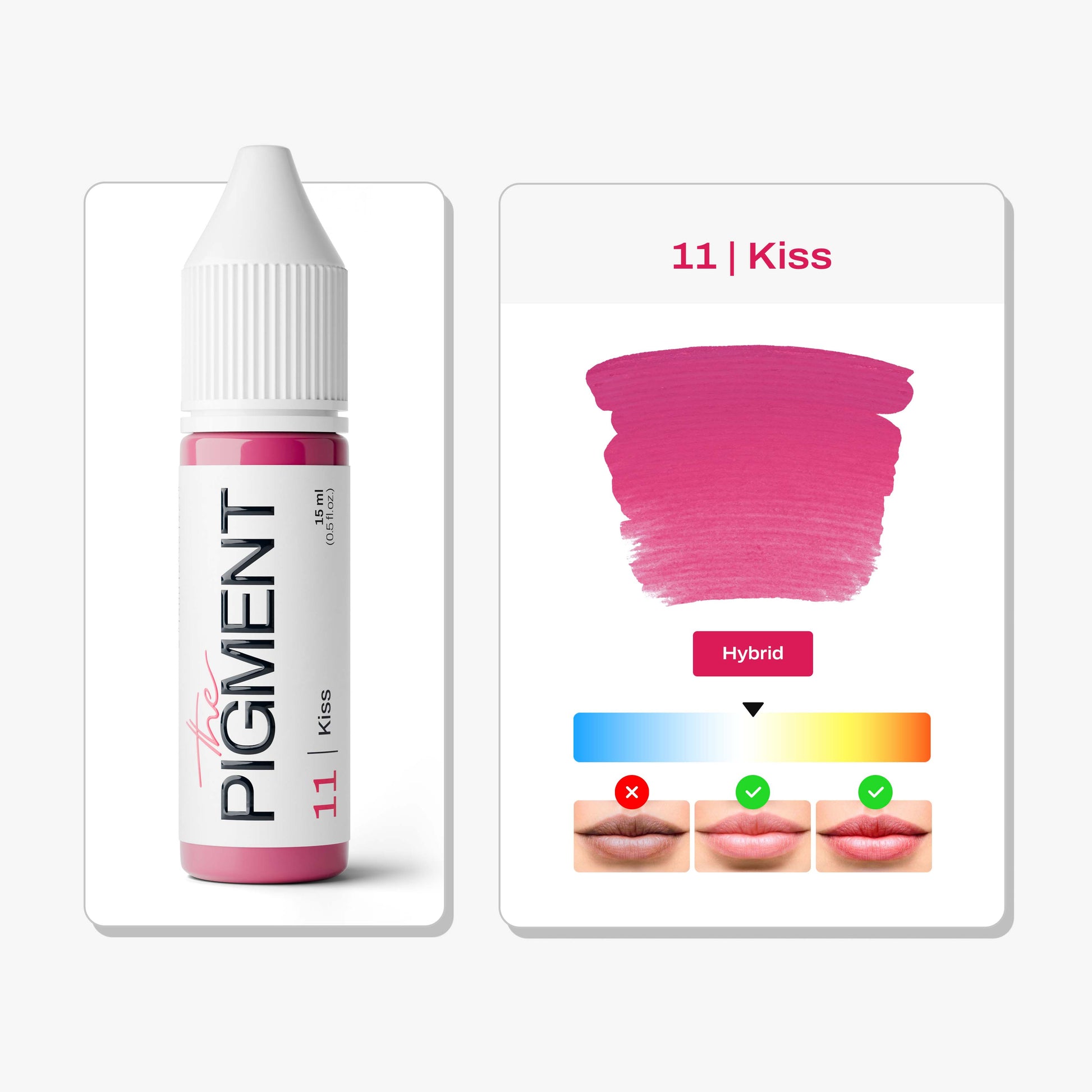 The Pigment - 11 Kiss - 15ml – professional permanent makeup & beauty product