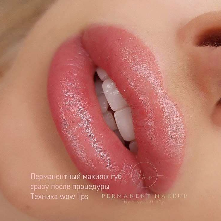 Brovi Dusty Rose Pigment