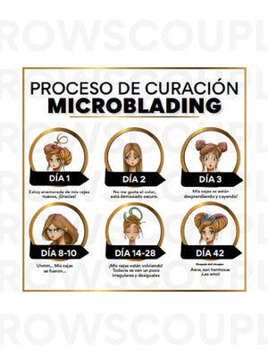 Microblading Digital Aftercare Cards Spanish(Digital Download) – professional permanent makeup & beauty product
