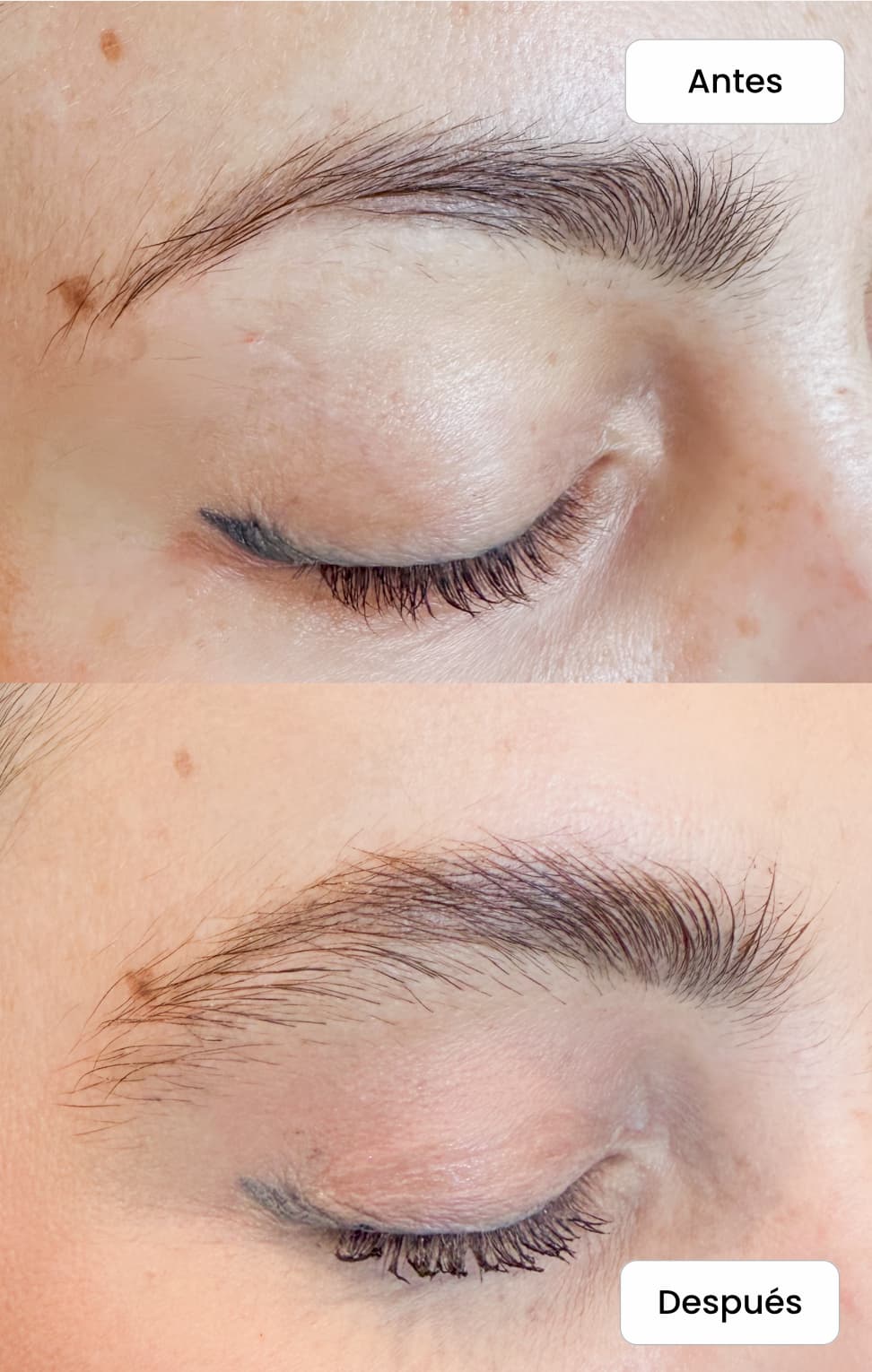 Brows Couple Eyebrow Serum 1pc – professional permanent makeup & beauty product