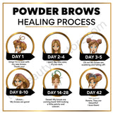 PowderBrows After Care Cards English