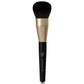 PhiNesse Brush Kit – professional permanent makeup & beauty product