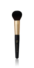 PhiNesse Brush Kit