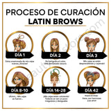 LatinBrows After Care Cards Spanish