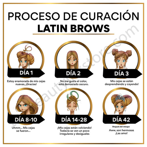 LatinBrows Digital Aftercare Cards Español(Descarga Digital)