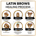 LatinBrows Digital Aftercare Cards English(Digital Download) – professional permanent makeup & beauty product