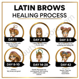 LatinBrows After Care Cards English