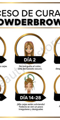 PowderBrows After Care Cards Spanish