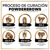 PowderBrows After Care Cards Spanish