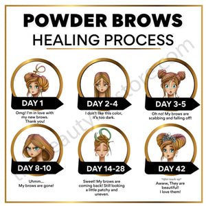 PowderBrows Digital Aftercare Cards English(Digital Download) – professional permanent makeup & beauty product