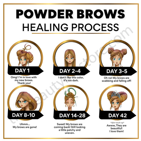 PowderBrows Digital Aftercare Cards English(Digital Download)